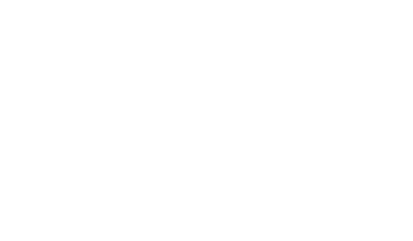 Felix WMC Pvt Ltd (Aiwasun) Logo